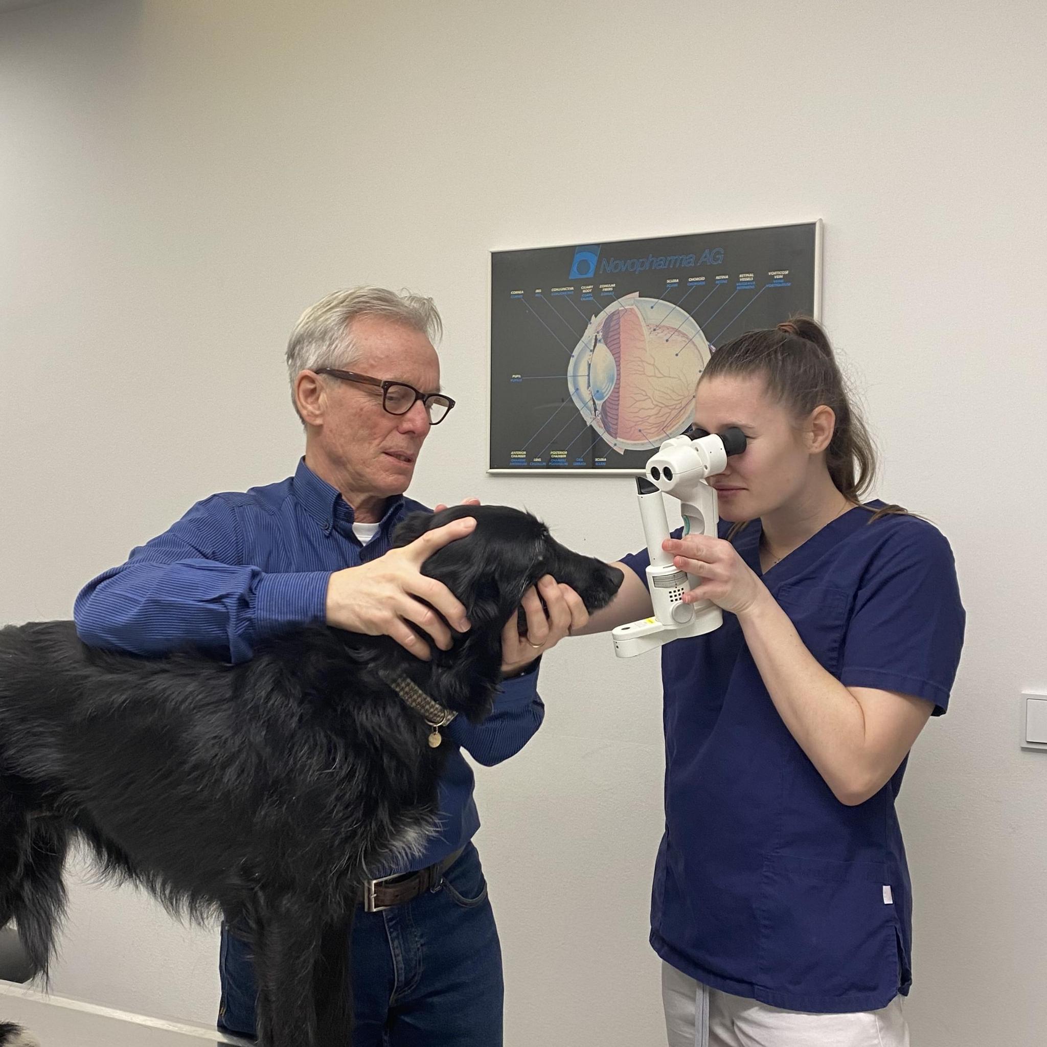 Professionelles Veterinär-Consulting Team